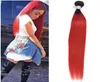 Braziliaanse Maagdelijke Haarextensions Recht 1 Bundel 1BRed Ombre Echt haar Eén stuk 1026 inch 1B Rood3764893