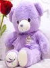 35-160 cm schattige gigantische teddybeer knuffel cartoon lavendel beer pluche dier zachte pop meisje woondecoratie kerstcadeau5837928