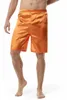 Men's Shorts 2024 Summer Solid Silk Pajamas Casual Versatile Loose Large Beachwear