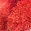 Tapijten Luxe handgemaakte rozenpatroon woondecoratie voor woonkamer slaapkamer karpetten romantische minnaar roze/rode rozen zacht tapijt