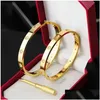 Bangle Designer Armband Sieraden Goud Luxe Modieus Roestvast staal Sier Rose Manchetslot 4Cz Diamant Voor Dames Vrouw Heren Man Feest Gif Otqx4