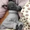 Dog Apparel Dogs Clothes Italian Greyhound High Quality Pet Fleece Sweater Paired With Pointed Grey Clothing Pajamas