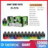 TASTEFOG NOVA CHEGA 12000 PUFFS E GIGETE DE CUIGETO DE CUIGETO 12K Puff Mesh Mesh Mesh Recarregável Vape descartável