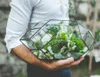 Handgemaakte glazen terrarium moderne plantenbak voor binnen tuinieren geometrische kristalvorm orchidee plantenbak tafel kas huis deco2077823