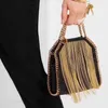 Stell Chain Tassel Bag Damen Handheld Crossbody -Geldbörse Designer -Taschen Qualität Trendy Mode Frauenhandtasche 231215