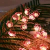 LED-kersenbloesem bloemvorm lichtsnoer, slaapkamer roze decoratieve lichtsnoer, 1m met 10 lampjes