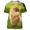 T-shirt da uomo 2024 Estate carino e divertente cane Pomerania stampa 3D T-shirt da donna di alta qualità