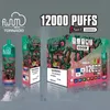 Original engångs cigarett puff12000 bang fluumbox bangbox 0% 2% 3% 5% Botten med LED-färgbelysning typ-c laddning av vape penna välj smaker