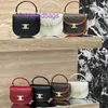 Selinss echte Lederhandtasche Hochwertige leichte Luxus -Granatapfel -Marke Mini Satteltasche Handtasche Diagonale Runde mit echtem Logo