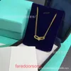 Famiglia T Doppio Anello Tifannissm Collana con fibbia a ferro di cavallo collana a doppio anello a forma di anello in argento 925 placcato con catena in oro rosa 18 carati