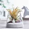 Vases Multicultural Flower Pots Cultivation Landscape Vase Hair Water Wholesale Ecological Micro Glass Simple Home Decor