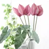 Flores decorativas Artificial Planta Ornamental Marrom Anthurium Impatiens Wallerana Falso Bonsai Home Office Decorar