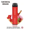 Sıcak Satış Orijinal Tastefog Grand 4000 Pufs Dipsosable Vape Grand 12ml Petrol Tip-C Şarj Limanı