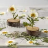 Decorative Flowers 6-8cm Pure White Chrysanthemum Stem Specimen DIY Handmade Bookmark Glue Drip Phone Case Material Flower Decoration