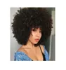 النساء اللطيفات الأفرو الغريبة البارلي الإسكان الأفريقي أمري البرازيلي محاكاة الشعر البشري القصير مجعد الكامل الكامل للسيدة 4166470