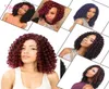 8 Zoll Jumpy Wand Curls Häkeln Sie synthetisches Flechthaar Janet Curly Crochet Hair Braids Jamaican Bounce Braid Kinky Curly H8564452