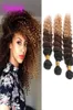 Extensions de cheveux humains malaisiens entiers 3 paquets Ombre 1B 4 27 vague profonde bouclés 1B427 cheveux vierges 828 pouces 8534935