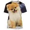 T-shirt da uomo 2024 Estate carino e divertente cane Pomerania stampa 3D T-shirt da donna di alta qualità