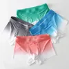 Underbyxor 2024 Brand Gradient Men Boxer Underwear Homme Mens Boxers Slip Para Hombre Panties Man Cuecas Masculina 4pcs