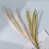 Dekoracyjne kwiaty trzcinowe symulacja trawy łatwa pielęgnacja Fałszywe rośliny realistyczne sztuczne pampas długotrwałe, odporne na fade dekoracje ślubne domowe