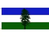 Tani Cascadia Flag Fly Decoration 3x5 FT Baner 90x150cm Festival Party Prezent 100d Poliester wydrukowany 7606797