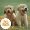 Köpek Giyim İlginç Pizza Kostüm Pelerin Pet Takım Cadılar Bayramı için Güzel giysi