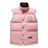 Gilet di design con tasca, parka, manica lunga, cerniera, distintivo, piumino da uomo, giacca casual, giacca canadese, colori multipli, taglie forti