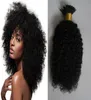 Mongoolse Afro Kinky Krullend Haar 100s Pre Bonded Stick I TIP Remy Hair Extensions Italiaanse keratine Nagel TIP Extensies van echt haar Na6991149