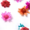 Nail Art Decoraties 10 Stuks Willekeurig Echte Gedroogde Bloem Stickers Tips Decoratie Kleine Bloemen Mode Styling Tools Diy Manicure Drop D Ott1Z