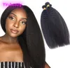 Brazilian Virgin Hair Kinky Straight 3 Bundles Human Hair Extensions Kinky Straight Yaki Whole Double Wefts Natural Color5910481