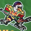 Herren Mighty Duckss Trikot 33 Greg Goldberg 96 Charlie Conway 99 Adam Banks Genähte Eishockey-Trikots AUF LAGER Fase Versand S-XXXL