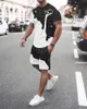 3D Printed T-Shirt Beach Casual Shorts 2 Piece O-Neck Suits Men's Training Wear Oversized Men's Suit Shirts Men's Shorts 240102