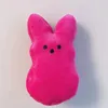 귀여운 토끼 스타 당근 인형 키 체인 Kawaii 부활절 방 소파 장식 박제 동물 장난감 어린이 선물