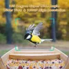 Другие товары для птиц AI Интеллектуальное распознавание Кормушки для диких птиц на открытом воздухе Управление через приложение Smart Watcher Feeder с камерой