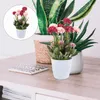 Decorative Flowers Silk Arrangement Decoration Artificial Bonsai Bathroom Decorations False Potted Plant