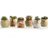 1 Stück schöne Keramik Mini Topf Schreibtisch Pflanzer für Sukkulente Bonsai Blume Kaktus Eule Topf Geschenke für Frauen Mädchen Jungen Kinder Y03142500267