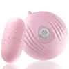 Chique Lilo Small Shell Frequency Conversion Egg Jumping Dames Wired Charm Vibration Massage Masturbation Appliance voor volwassenen 231129