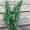 Fiori decorativi 50g Rami di bosso naturali secchi freschi per sempre Rami di bosso veri secchi conservati Buxus Sinica Foglie eterne piccole per decorazioni per la casa fai da te