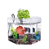 Aquariums Bureau Betta Fish Tank Acrylique Isolation Boîte Ornemental Aquarium Élevage Bureau Décoration 2201007 Drop Livraison Accueil Ga Dhwcg