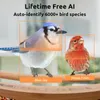 その他の鳥の供給netvue birdfy ai-カメラソーラーパワー付きのアップグレードされたスマートフィーダーは6000種のモーション検出を識別します