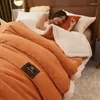 Set di biancheria da letto Coperta in lana d'agnello Copripiumino singolo Piumino invernale in cashmere al latte caldo a doppio uso