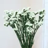 Flores decorativas Arreglo de boda Regalo de niña de San Valentín Ramo de flores secas naturales Nomeolvides DIY Sala de estar Hogar Navidad