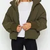 Kvinnors dikerockar Vintage Green Parkas Casual Tickets Solid Loose Jacket 2024 Autumn Winter Thick Warm Basic Cotton Ytterkläder Kvinna