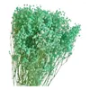 Dekorative Blumen, natürliches getrocknetes Schleierkraut, lebendiger Aeonium-Blumenstrauß voller Sterne für die Valentinstag-Dekoration