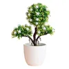 Flores decorativas plantas artificiais bonsai simulado árvore vaso falso ornamentos de mesa moda e mobiliário simples