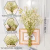 4050cm天然の新鮮な花ジプソフィラパニクラタバビーの息の花ブーケッツギフトウェディングデコレーションホーム装飾240103