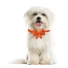 50/100 pz Colorato Pet Dog Cat Bow Tie Prodotti per animali domestici Accessori per cani Pet Dog Bowtie Carino Bow Tie Dog Pet Cat Forniture per le vacanze 240103