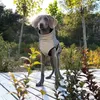 Vestuário para cães Abrigo Perro Pet Windcheater Corpo Reflexivo Shell Jaqueta Impermeável Colete Quente
