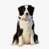 50/100pcs Colorful Flower Dog Bow Tie Beautiful Pet Dog Cat Bowties Collar Fashion Cute Pet Accessories For Small Dogs 240103