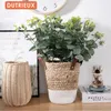 Decorative Flowers 7 Fork Artificial Eucalyptus Money Leaf Home Wedding Decoration Green Plant Bonsai Flower Arrangement Bedroom Decor